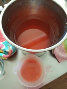 20170317_132130-1-e1489742010458-225x300