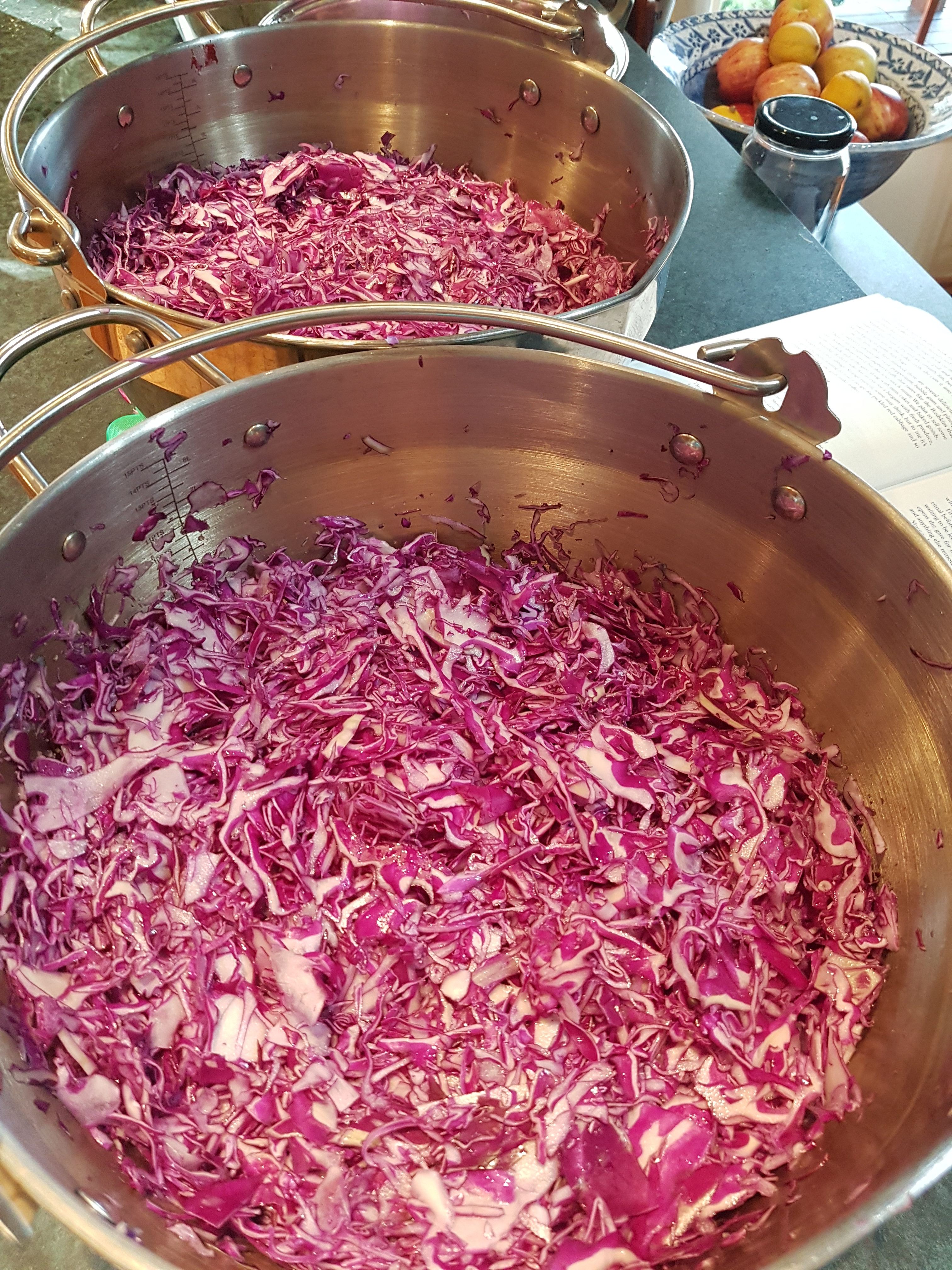 Cabbages everywhere