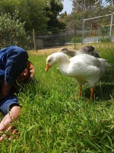 Chatting with Robert