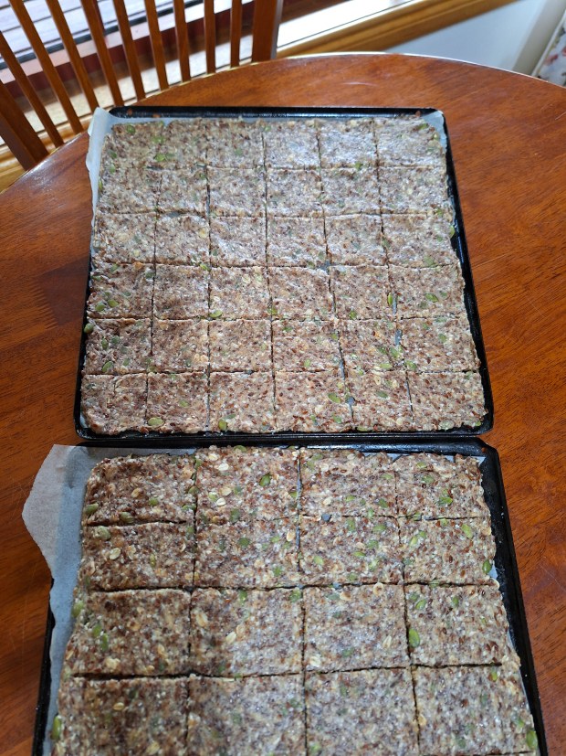 Multigrain Crackers